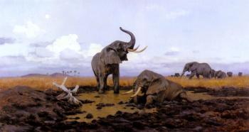 Friedrich Wilhelm Kuhnert : In The Twilgiht Elephants